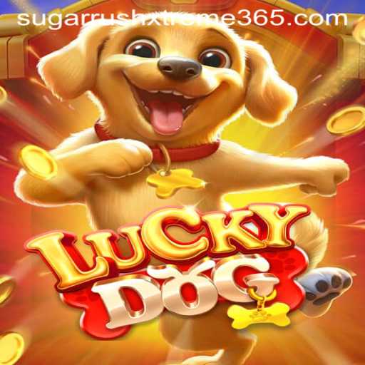 Discover the Excitement of LuckyDog: Sugar Rush Xtreme